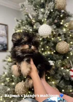 processed/62ca6bcb-e89d-4731-b44f-1a0e0e7890b7/listing/3c09874e-cbe4-425a-aef7-e828d67e5281/03d6178c-d828-4b7a-8263-6b9b27155864