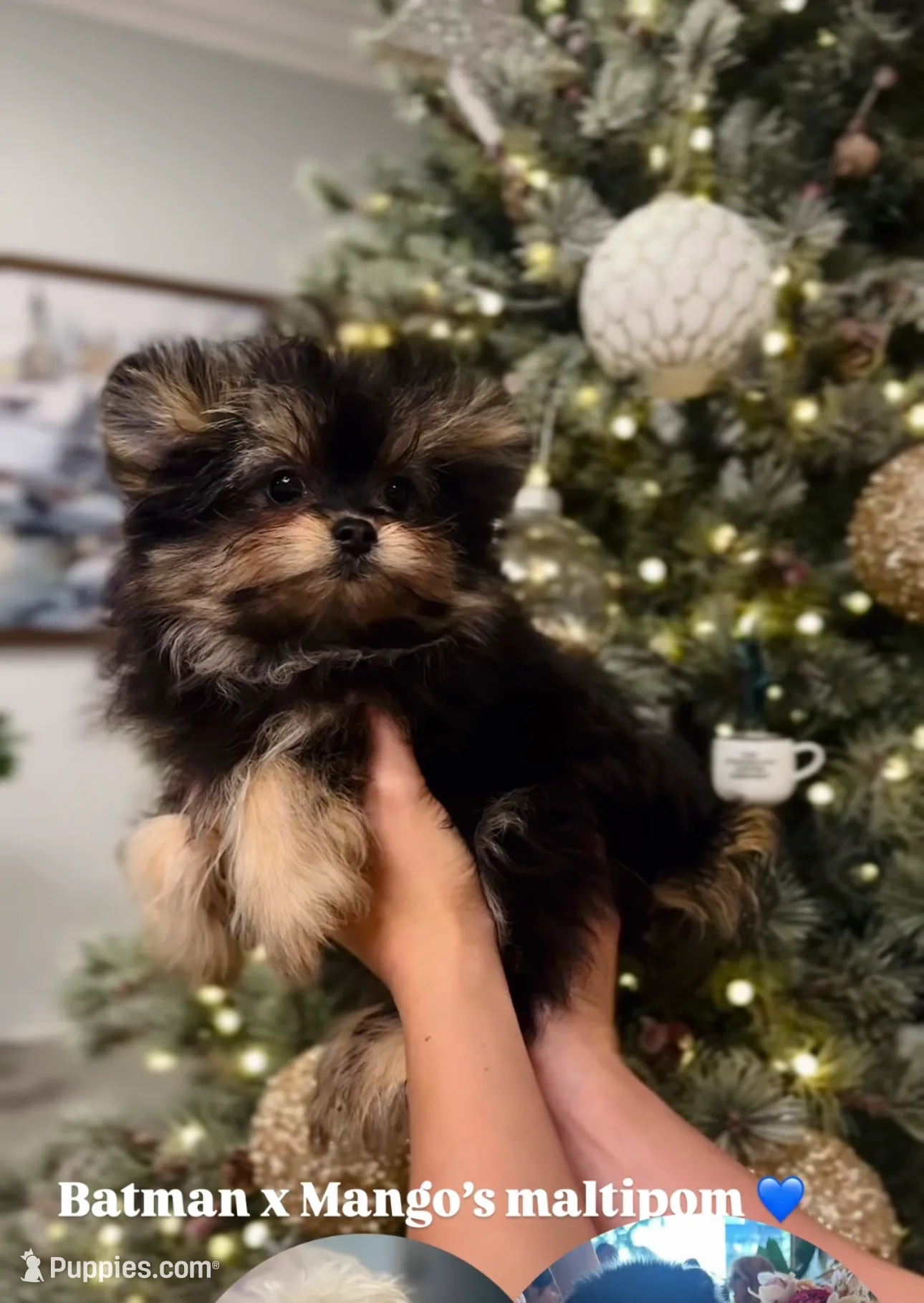 processed/62ca6bcb-e89d-4731-b44f-1a0e0e7890b7/listing/3c09874e-cbe4-425a-aef7-e828d67e5281/501822d5-e431-4b39-ba35-6ed817c43348