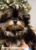 processed/62ca6bcb-e89d-4731-b44f-1a0e0e7890b7/listing/3c09874e-cbe4-425a-aef7-e828d67e5281/c2285532-0286-4c07-abfa-75984f311b93