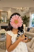 Sonic(micro size) , a male Morkie for sale in Eastvale, CA – 1 of 3