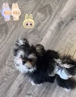 processed/62ca6bcb-e89d-4731-b44f-1a0e0e7890b7/listing/7d53d90b-1ede-4abb-98bc-e71c9fb3deb7/70e36fe6-6bbe-437d-8ac5-73c03d11d964