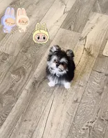 processed/62ca6bcb-e89d-4731-b44f-1a0e0e7890b7/listing/7d53d90b-1ede-4abb-98bc-e71c9fb3deb7/eb87c037-5df5-4c67-8d73-c386671e0240