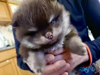 processed/62ca6bcb-e89d-4731-b44f-1a0e0e7890b7/listing/92f6da2d-0a63-4daf-978f-552e08f1ffb1/516306a4-a1fc-4932-887b-57d8bfd42949