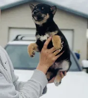 processed/62ca6bcb-e89d-4731-b44f-1a0e0e7890b7/listing/d3261543-e1d4-48f4-8743-40a4e5c23c9c/b5d53481-44b1-42ec-afb1-a117d014f77a