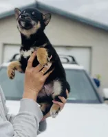 processed/62ca6bcb-e89d-4731-b44f-1a0e0e7890b7/listing/d3261543-e1d4-48f4-8743-40a4e5c23c9c/c43ca6b3-f512-450e-9f54-0147b9af577e