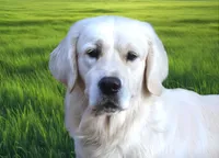 processed/62ce61c7-928d-4c3e-929c-c655d1a8f741/facility/11ebfeab-7fe2-41b0-80b3-b98c81903b37