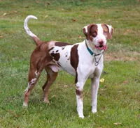 processed/62ce61c7-928d-4c3e-929c-c655d1a8f741/listing/55133b8f-359d-419f-8b75-e0f2c7c0f5c1/15d30f9c-b99b-4914-9c60-20754eede247