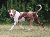 processed/62ce61c7-928d-4c3e-929c-c655d1a8f741/listing/55133b8f-359d-419f-8b75-e0f2c7c0f5c1/1a6d1f36-1d4a-47c3-b848-8b40731d2796