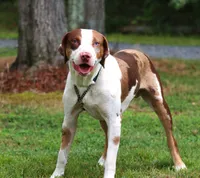 processed/62ce61c7-928d-4c3e-929c-c655d1a8f741/listing/55133b8f-359d-419f-8b75-e0f2c7c0f5c1/392cfac4-74cf-4f58-abc8-3db474a0ad02