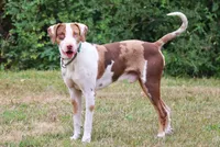 processed/62ce61c7-928d-4c3e-929c-c655d1a8f741/listing/55133b8f-359d-419f-8b75-e0f2c7c0f5c1/428cfb78-59c4-4a06-b846-0501c3a5304a