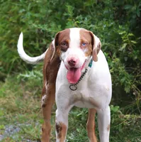 processed/62ce61c7-928d-4c3e-929c-c655d1a8f741/listing/55133b8f-359d-419f-8b75-e0f2c7c0f5c1/7111430d-f4e4-442a-895b-899c5defe46a