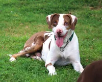 processed/62ce61c7-928d-4c3e-929c-c655d1a8f741/listing/55133b8f-359d-419f-8b75-e0f2c7c0f5c1/a219fe32-0dea-4bae-91cc-add641c9e4ae