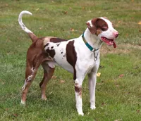 processed/62ce61c7-928d-4c3e-929c-c655d1a8f741/listing/55133b8f-359d-419f-8b75-e0f2c7c0f5c1/c6946ff2-a713-419f-b5dc-625d09fb3514