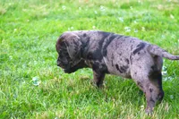 processed/62ce61c7-928d-4c3e-929c-c655d1a8f741/listing/621dce0e-5f53-4421-a9a4-31a205dd68cf/2a8a0f43-2dd5-46a4-aae7-255d8ec8e9f6