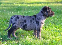 processed/62ce61c7-928d-4c3e-929c-c655d1a8f741/listing/621dce0e-5f53-4421-a9a4-31a205dd68cf/8496dbcd-290d-4e12-b121-cf033154cea1