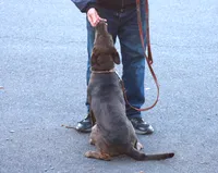 processed/62ce61c7-928d-4c3e-929c-c655d1a8f741/listing/621dce0e-5f53-4421-a9a4-31a205dd68cf/89daa8c6-06da-47d2-9b49-4865f5137029