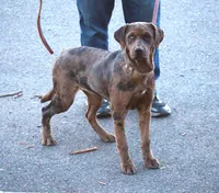 processed/62ce61c7-928d-4c3e-929c-c655d1a8f741/listing/621dce0e-5f53-4421-a9a4-31a205dd68cf/939cee32-0094-43b6-b48f-5c35241087ab