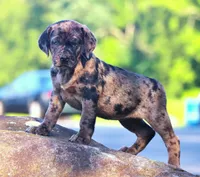 processed/62ce61c7-928d-4c3e-929c-c655d1a8f741/listing/621dce0e-5f53-4421-a9a4-31a205dd68cf/b2e1bc28-9253-4190-851c-5608ddc65f99