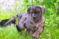 processed/62ce61c7-928d-4c3e-929c-c655d1a8f741/listing/621dce0e-5f53-4421-a9a4-31a205dd68cf/bf852e56-0a4d-40f2-b21d-dfdc59aeee08