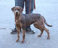 processed/62ce61c7-928d-4c3e-929c-c655d1a8f741/listing/621dce0e-5f53-4421-a9a4-31a205dd68cf/ee6d8a84-09e5-4bbc-9831-ab9fef1672b9