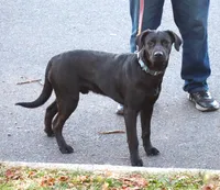 processed/62ce61c7-928d-4c3e-929c-c655d1a8f741/listing/8ad25db3-2706-4d38-8947-8af5c0a9427f/5e546d5b-4434-49c4-8e9f-0f38780838de