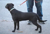 processed/62ce61c7-928d-4c3e-929c-c655d1a8f741/listing/8ad25db3-2706-4d38-8947-8af5c0a9427f/83a2f552-c111-455d-a8cb-723a79f5f5f4