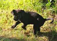 processed/62ce61c7-928d-4c3e-929c-c655d1a8f741/listing/8ad25db3-2706-4d38-8947-8af5c0a9427f/8d5e2910-9824-4e2a-997f-c088610b695f