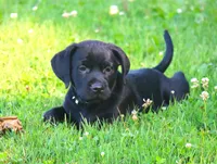 processed/62ce61c7-928d-4c3e-929c-c655d1a8f741/listing/8ad25db3-2706-4d38-8947-8af5c0a9427f/a6ed1cff-6ab6-4e5f-ba82-0ed9cea9a411