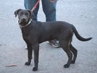 processed/62ce61c7-928d-4c3e-929c-c655d1a8f741/listing/8ad25db3-2706-4d38-8947-8af5c0a9427f/a863303b-18fe-401f-9a65-f6eaec3df886