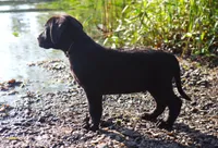 processed/62ce61c7-928d-4c3e-929c-c655d1a8f741/listing/8ad25db3-2706-4d38-8947-8af5c0a9427f/cdebf64d-d3fc-4ea6-9fb3-23764255be1d