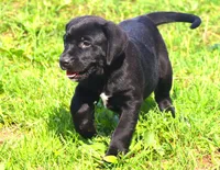 processed/62ce61c7-928d-4c3e-929c-c655d1a8f741/listing/8f4aaa1e-fb4a-4fa2-b06b-c32e2f2ee5f7/23c43cf7-1375-4e1e-b1e6-a970feb97fa2