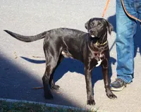 processed/62ce61c7-928d-4c3e-929c-c655d1a8f741/listing/8f4aaa1e-fb4a-4fa2-b06b-c32e2f2ee5f7/62c5dc6b-82eb-4e70-9960-775d801abe28