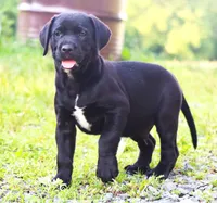 processed/62ce61c7-928d-4c3e-929c-c655d1a8f741/listing/8f4aaa1e-fb4a-4fa2-b06b-c32e2f2ee5f7/bdf245a1-bedf-4753-a5c6-780585c2d112