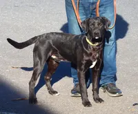 processed/62ce61c7-928d-4c3e-929c-c655d1a8f741/listing/8f4aaa1e-fb4a-4fa2-b06b-c32e2f2ee5f7/c718eaf7-bfae-40c3-b48f-43f9b4d72f68