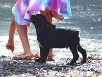 processed/62ce61c7-928d-4c3e-929c-c655d1a8f741/listing/8f4aaa1e-fb4a-4fa2-b06b-c32e2f2ee5f7/cbeeee27-ec8e-4db3-903c-a3e3b176f3a0