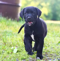 processed/62ce61c7-928d-4c3e-929c-c655d1a8f741/listing/8f4aaa1e-fb4a-4fa2-b06b-c32e2f2ee5f7/ddec9485-1d01-430e-9e0e-37ac70be0766