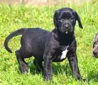 processed/62ce61c7-928d-4c3e-929c-c655d1a8f741/listing/8f4aaa1e-fb4a-4fa2-b06b-c32e2f2ee5f7/f476b5c2-9589-4402-8b9f-c84b1ee90185