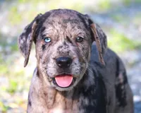 processed/62ce61c7-928d-4c3e-929c-c655d1a8f741/listing/ebb492c9-53df-4253-a3bd-bd8ea28217c3/202f12b0-2437-4ff2-97b7-fbf7275a643c