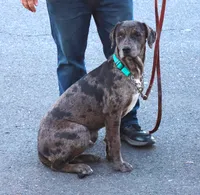 processed/62ce61c7-928d-4c3e-929c-c655d1a8f741/listing/ebb492c9-53df-4253-a3bd-bd8ea28217c3/3d2a7750-caaa-44d8-81bf-fe2a858aadaf