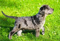 processed/62ce61c7-928d-4c3e-929c-c655d1a8f741/listing/ebb492c9-53df-4253-a3bd-bd8ea28217c3/6a8aa561-9a05-4f8d-9947-de2f5dc17c6c