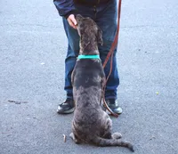 processed/62ce61c7-928d-4c3e-929c-c655d1a8f741/listing/ebb492c9-53df-4253-a3bd-bd8ea28217c3/85943848-5d28-488a-8358-ee32d84a0842