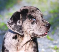 processed/62ce61c7-928d-4c3e-929c-c655d1a8f741/listing/ebb492c9-53df-4253-a3bd-bd8ea28217c3/85df3ea7-2fef-4fc4-b66b-1f56ee058927