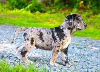 processed/62ce61c7-928d-4c3e-929c-c655d1a8f741/listing/ebb492c9-53df-4253-a3bd-bd8ea28217c3/c0f6c03a-0245-452e-b151-1f1088632cbb