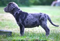 processed/62ce61c7-928d-4c3e-929c-c655d1a8f741/listing/ebb492c9-53df-4253-a3bd-bd8ea28217c3/c7d842dd-776d-4efa-a36f-4fb144e3b15c