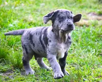 processed/62ce61c7-928d-4c3e-929c-c655d1a8f741/listing/ebb492c9-53df-4253-a3bd-bd8ea28217c3/e318ec86-74c4-4d65-b551-a2d1fe646cef