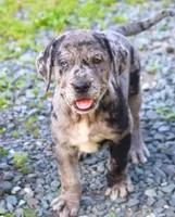 processed/62ce61c7-928d-4c3e-929c-c655d1a8f741/listing/ebb492c9-53df-4253-a3bd-bd8ea28217c3/ed613f17-2ca1-4553-9ca8-5c5272095e02