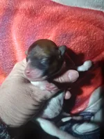 processed/62e31aa4-4722-4806-bd3c-76d0ecf7af35/listing/4e8c8201-6d97-49c8-a009-58c34b2808cd/8ba272ec-93b3-4315-8dc7-83e59c98281c