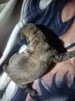 processed/62e31aa4-4722-4806-bd3c-76d0ecf7af35/listing/9dc69de5-4616-421f-ac63-12d4c5d69597/49f593e6-22b7-4fc5-a486-87803755c3d0