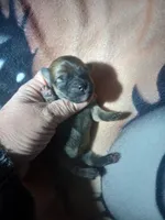 processed/62e31aa4-4722-4806-bd3c-76d0ecf7af35/listing/9dc69de5-4616-421f-ac63-12d4c5d69597/645ce32d-497a-4351-9073-49ab8ea6d431