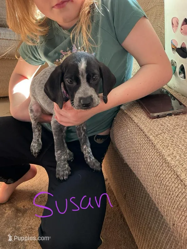 Susan